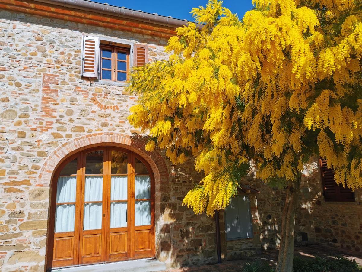 Antico Borgo Frosini Villa Arezzo Exteriör bild